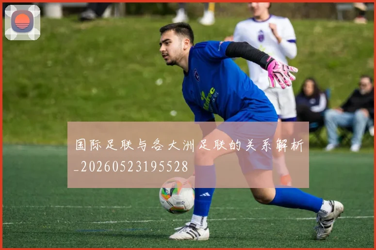 国际足联与各大洲足联的关系解析_20260523195528